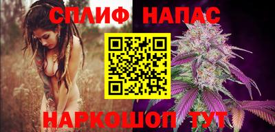 spice Заводоуковск