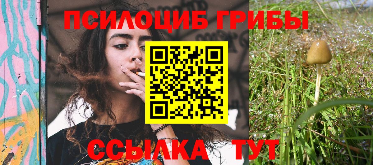 Галлюциногенные грибы Psilocybe  Галлюциногенные грибы мухоморы  Вход с VPN  Моздок 