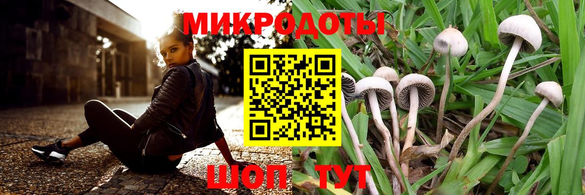 Галлюциногенные грибы Psilocybine cubensis Моздок